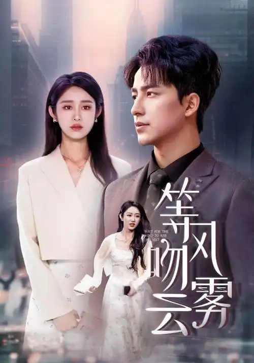 雾港追凶 热播电视剧全集在线观看